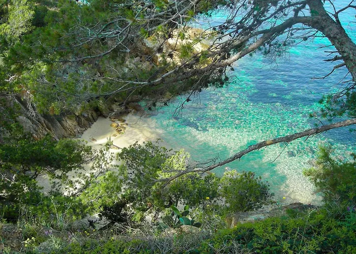 Select' - Avec Vue Mer, Sur Les Hauteurs Du Centre-ville Avec Parking Prive - Dolce * Le Lavandou